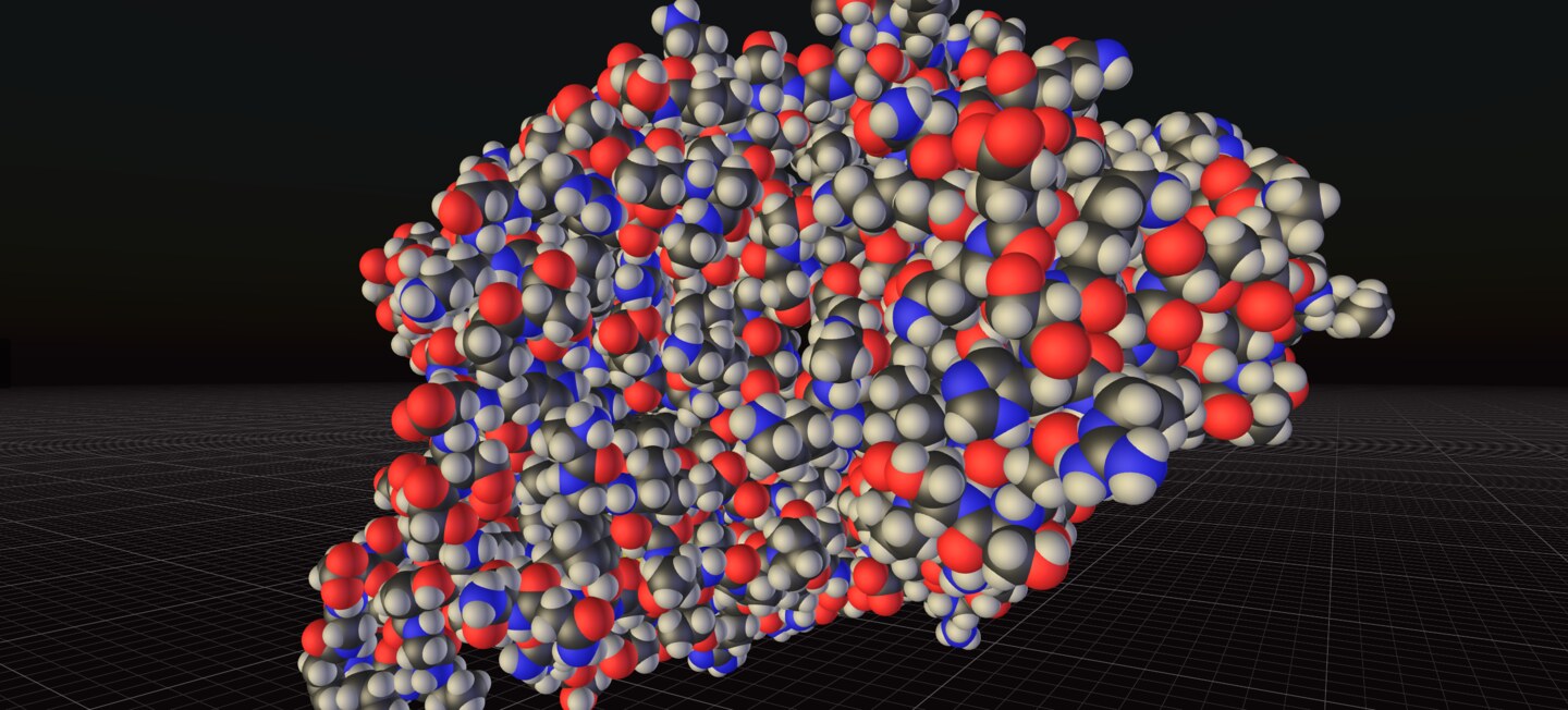 Space-filling rendering of a folded protein
